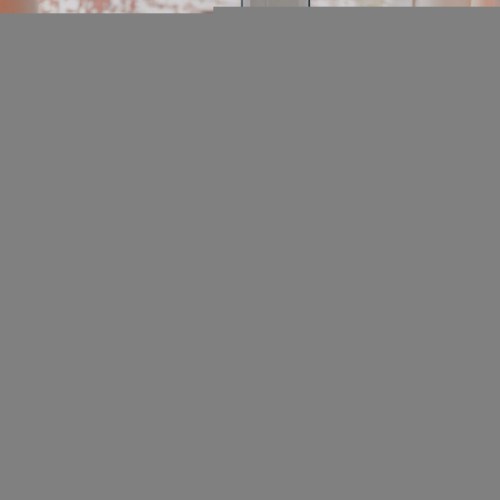 53352_2de0ffc2-f600-11ec-8220-78e7d1920004-800-600