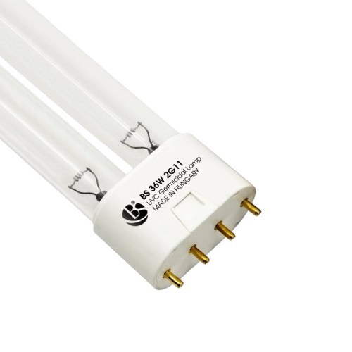 8c44e3932711af5a6cc126cac9282