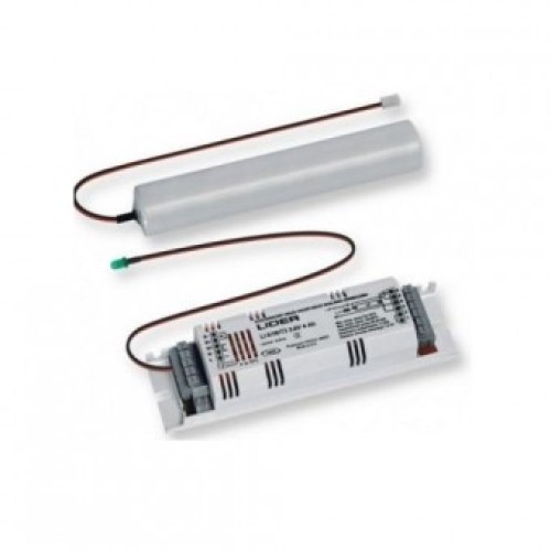 Комплект аварийного питания AWEX UMC/3W/3/PT/CD Module LED UMC 3W 3h PT+battery pack NiCD 3,6V