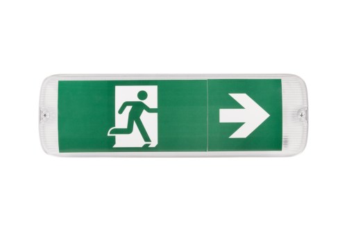 Аварийный светильник TREVOS ERYX с БАЖ 3 часа, DALI